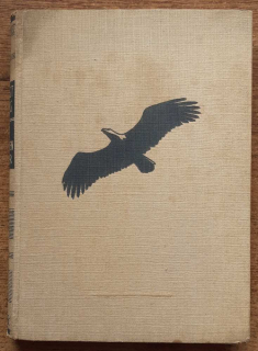 Die letzten Adler
