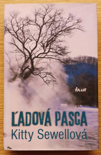 Ľadová pasca