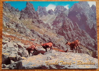 Vysoké Tatry - Kamzíky - Velická dolina