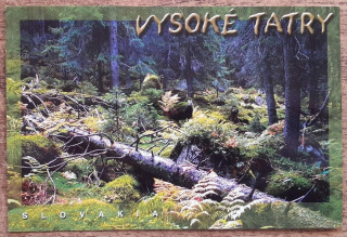 Vysoké Tatry