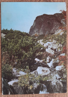 Vysoké Tatry - Mlynická dolina - 1967