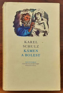 Kámen a bolest / Michelangelo Buonarroti
