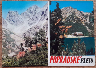 Vysoké Tatry - Popradské pleso - Limbový háj