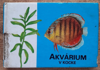 Akvárium v kocke / Atlásky