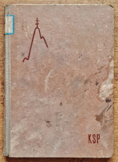 Predposledný život