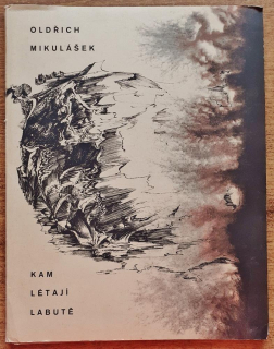 Kam létají labutě