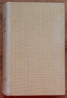 Rytíř de Maison-Rouge 1. / Paměti lékařovy