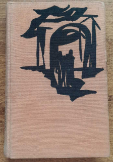 Víťazný oblúk - Remarque