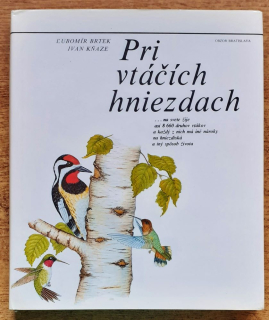 Pri vtáčích hniezdach