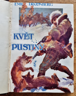 Květ pustiny