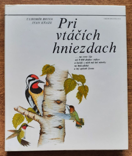 Pri vtáčích hniezdach