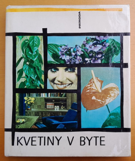 Kvetiny v byte