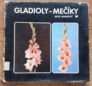 Gladioly - mečíky