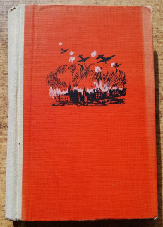 Dny porážky / vojnový román