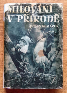 Milování v přírode