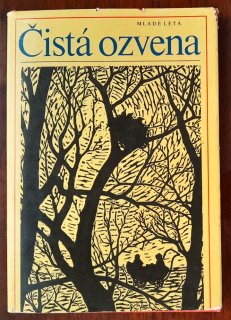 Čistá ozvena / Zborník poviedok o deťoch