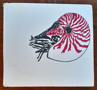 Stretnutia v hlbinách