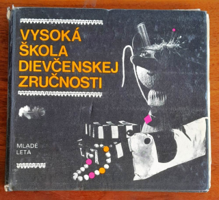 Vysoká škola dievčenskej zručnosti