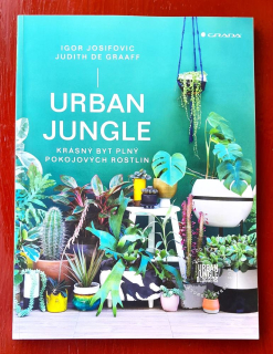 Urban Jungle / Krásný byt plný pokojových rostlin