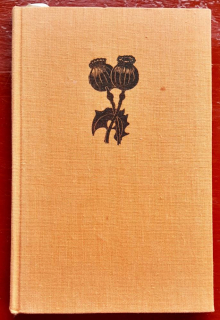 Červená šatka, biely mak