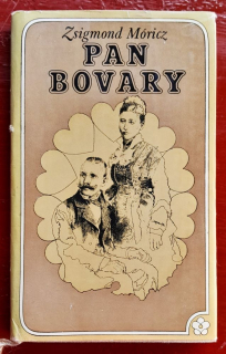 Pan Bovary / Knihy srdce