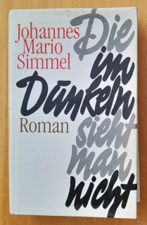 Die im Dunkeln sieht man nicht / Roman