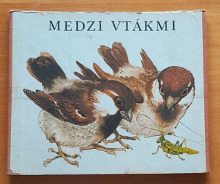 Medzi vtákmi
