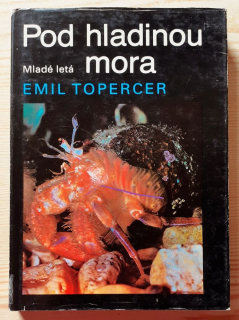 Pod hladinou mora
