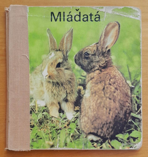 Mláďatá
