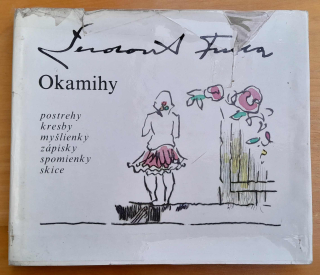 Okamihy, postrehy, kresby, myšlienky, zápisky, spomienky, skice