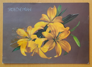 Srdečné přání - 1997