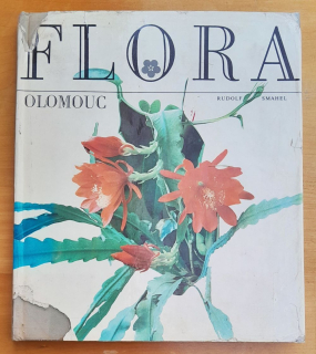 Flora Olomouc