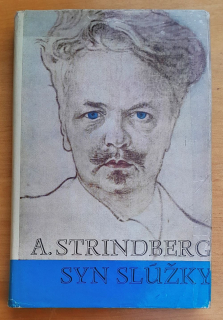 Syn slúžky / Hviezdoslavova knižnica