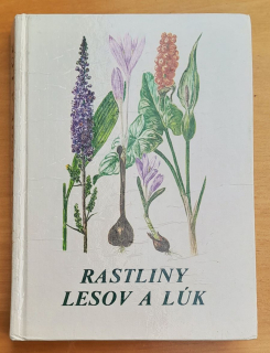 Rastliny lesov a lúk