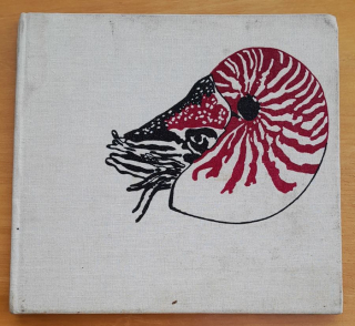 Stretnutia v hlbinách