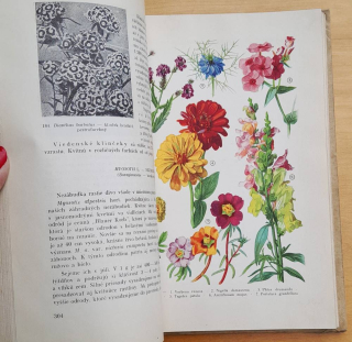 Kvetinárstvo / Učebný text pre poľnohospodárske technické školy