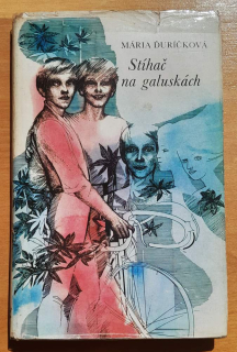 Stíhač na galuskách / Vybrané spisy