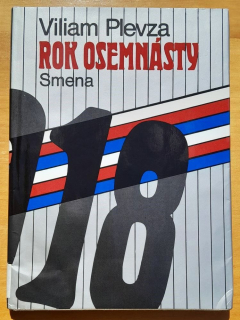 Rok osemnásty