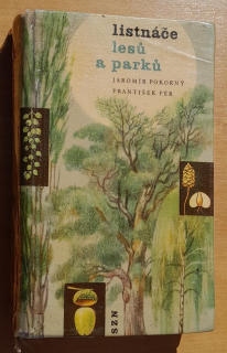 Listnáče lesú a parkú
