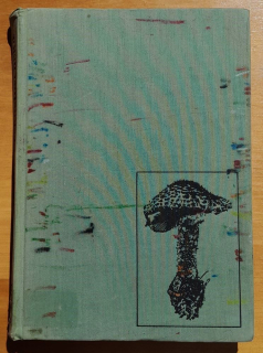 Houby Československa ve svém životním prostředí