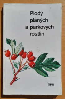 Plody planých a parkových rostlin
