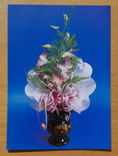 Srdečné blahoželanie orchidea