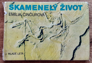 Skamenelý život