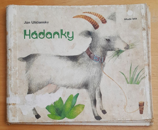 Hádanky