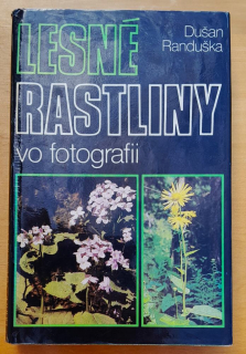 Lesné rastliny vo fotografii