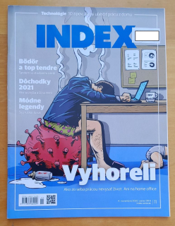 Profit Index 2020/11 / Mesačník