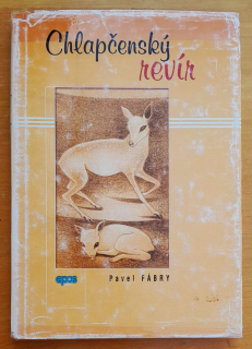 Chlapčenský revír