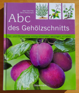 ABC des Geholzschnitts