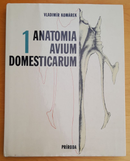 Anatomia avium domesticanum 1.
