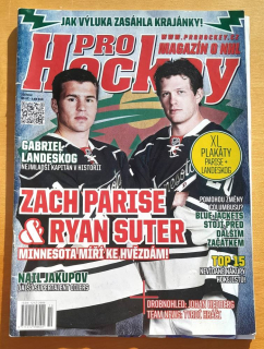 Pro Hockey 2012 / 10